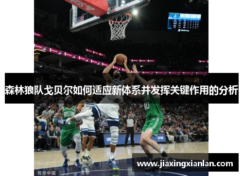森林狼队戈贝尔如何适应新体系并发挥关键作用的分析