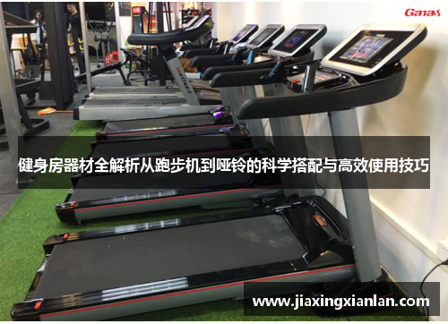健身房器材全解析从跑步机到哑铃的科学搭配与高效使用技巧